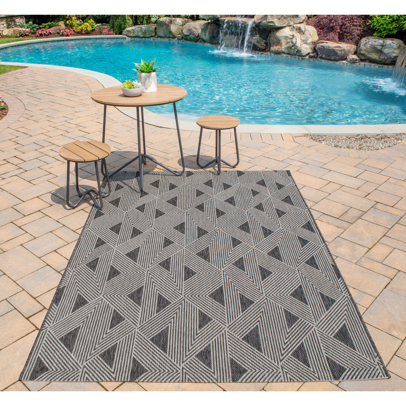 Zane Charcoal Indoor/Outdoor Area Rug & Reviews AllModern